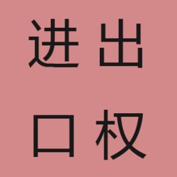 上海企業辦理進出口權及貨物進出口的完整指南與代辦服務解析
